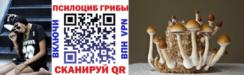 блэк спрут как войти  Белореченск  Псилоцибиновые грибы мухоморы 